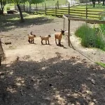 Quinta Da Bolota * Alvaiázere