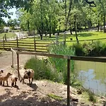 Quinta Da Bolota Σπίτι διακοπών Alvaiázere