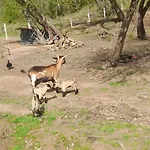 Quinta Da Bolota Σπίτι διακοπών