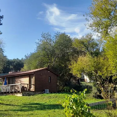 Quinta Da Bolota Holiday home *