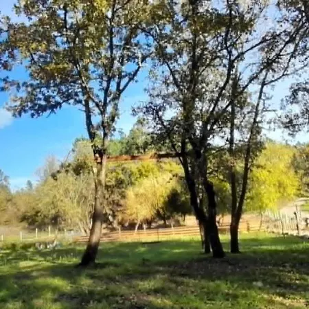Quinta Da Bolota Alvaiazere