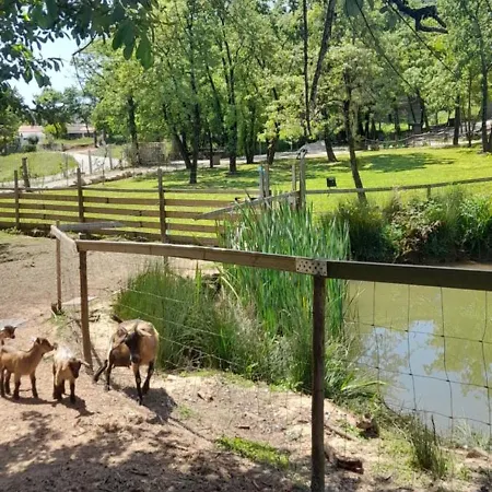 Quinta Da Bolota Holiday home Alvaiazere