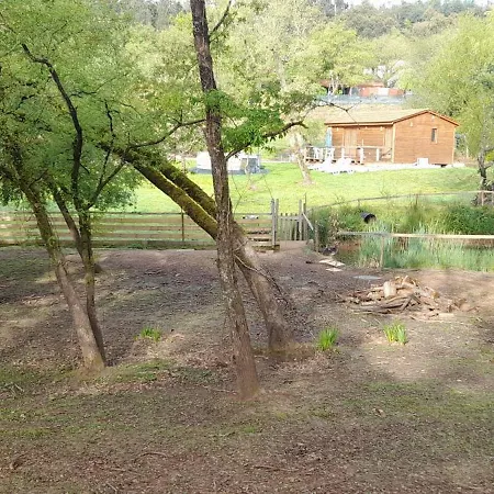 Quinta Da Bolota Holiday home Alvaiazere