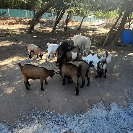 Hébergement de vacances Quinta Da Bolota