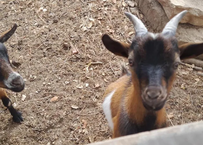 Quinta Da Bolota * Alvaiázere
