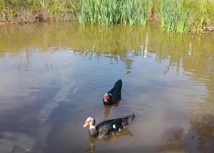 Quinta Da Bolota 別荘 *