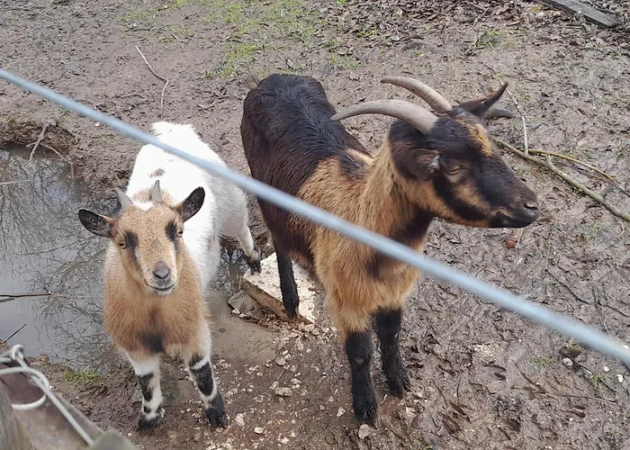 بيت للعطل Quinta Da Bolota Alvaiázere