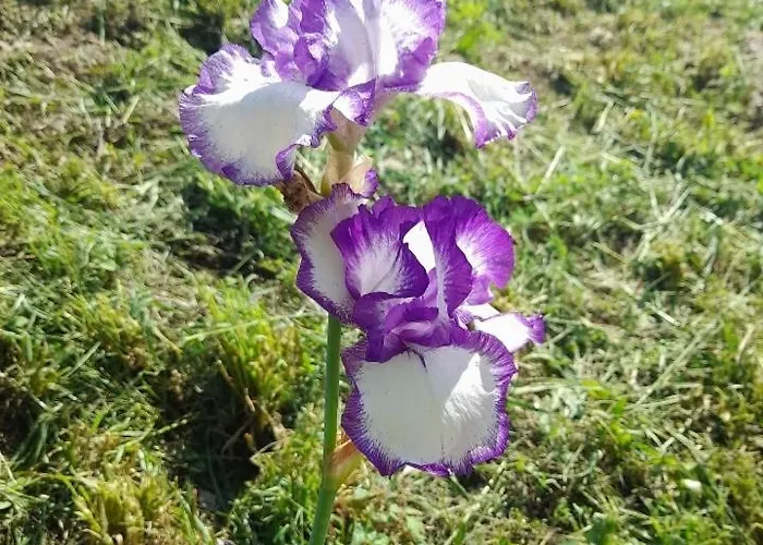 Quinta Da Bolota Alvaiázere